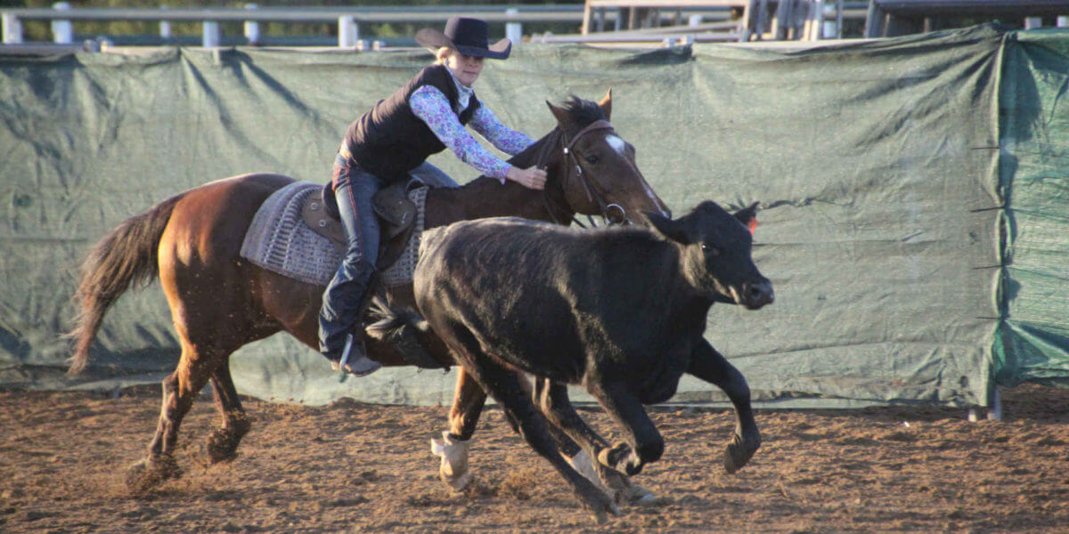 Female riding horse during Paradise Lagoon Campdrafting with black calf